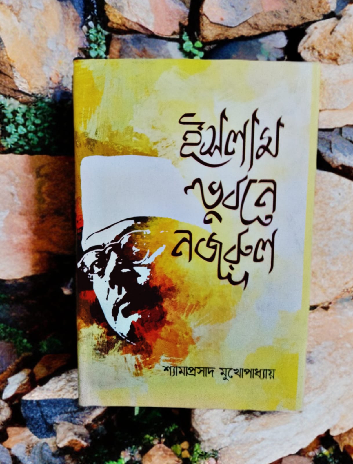 ইসলাম ভুবনে নজরুল